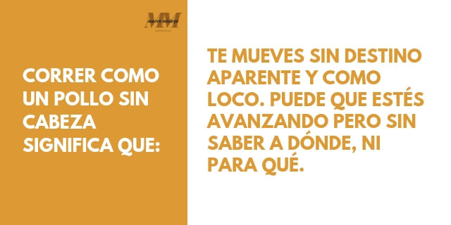 que significa expresion correr como pollo sin cabeza